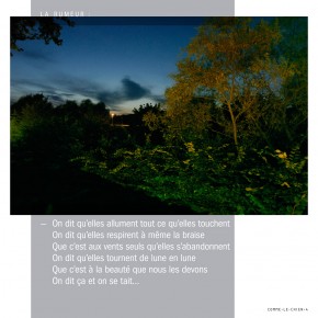 Photo © Ernesto Timor, texte © François Chaffin, Théâtre du Menteur