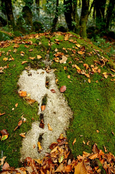 Photo © Ernesto Timor
