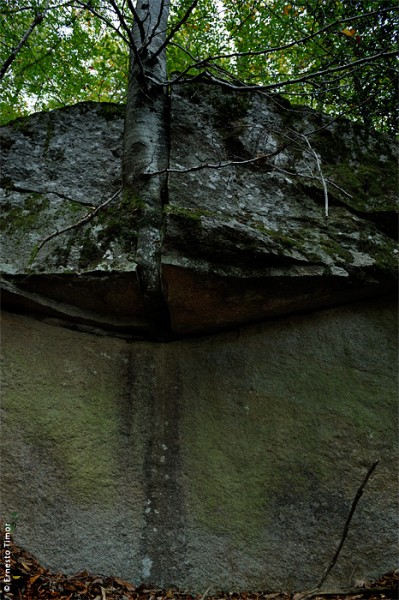 Photo © Ernesto Timor