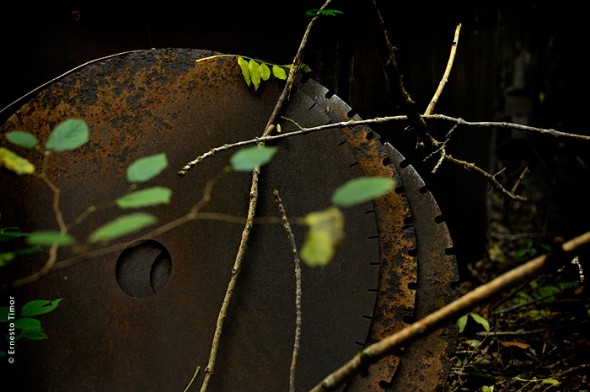 Photo © Ernesto Timor