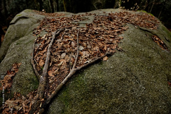 Photo © Ernesto Timor