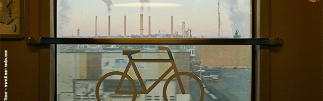 Saison Timor automne 2025 – carte postale et news du trimestre