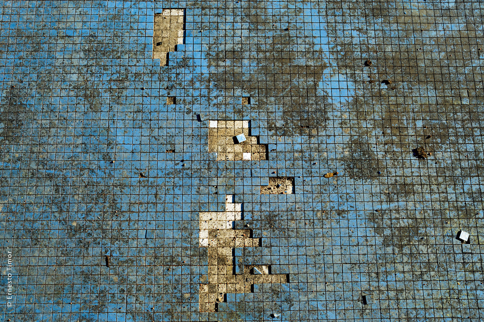 Photo © Ernesto Timor