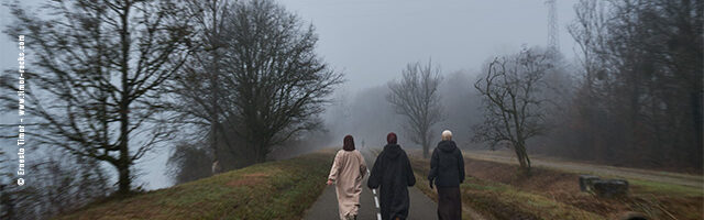 Saison Timor hiver 2025-2026 – carte postale et news du trimestre